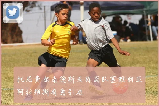 托尼费尔南德斯或将离队塞维利亚阿拉维斯有意引进