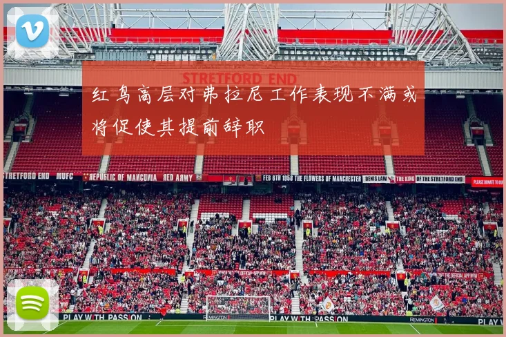 红鸟高层对弗拉尼工作表现不满或将促使其提前辞职