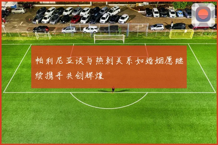 帕利尼亚谈与热刺关系如婚姻愿继续携手共创辉煌